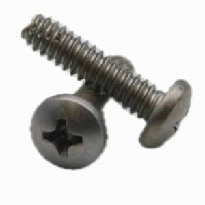 Pan Philips Thread Cutting Screw Image