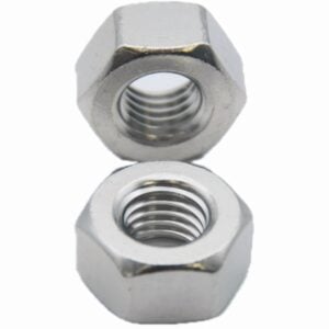 Heavy Hex Nuts Image